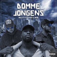 domme jongen.in.je stad nike|Wilde Westen – Domme Jongens Lyrics .